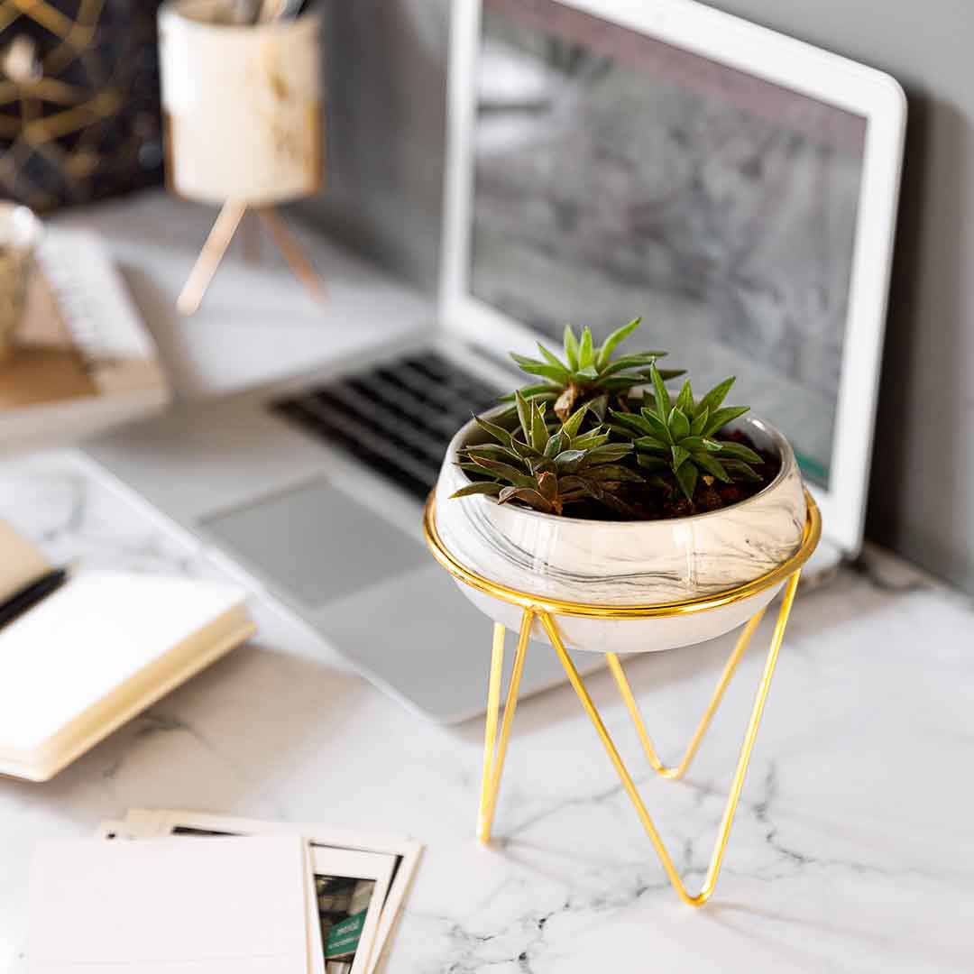 Bowl Planter with Stand