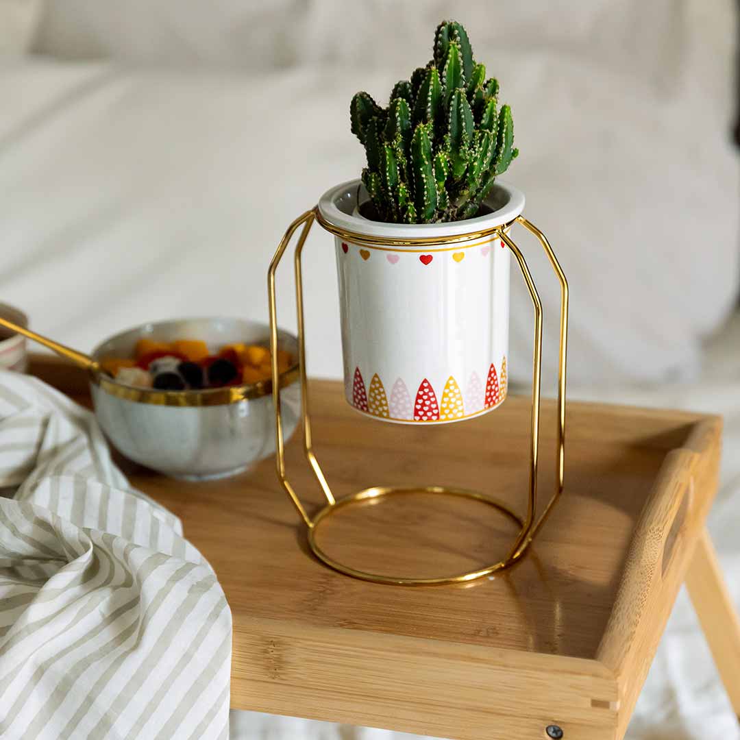Bella Heart Planter