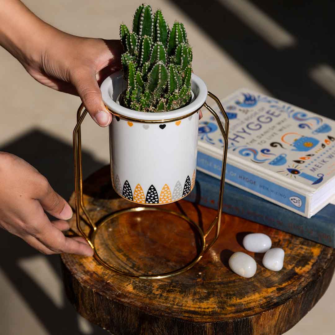 Bella Heart Planter