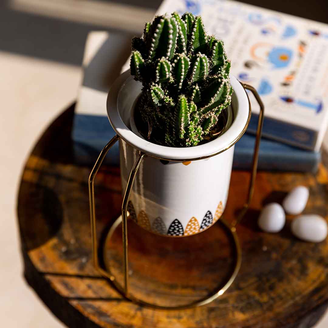 Bella Heart Planter