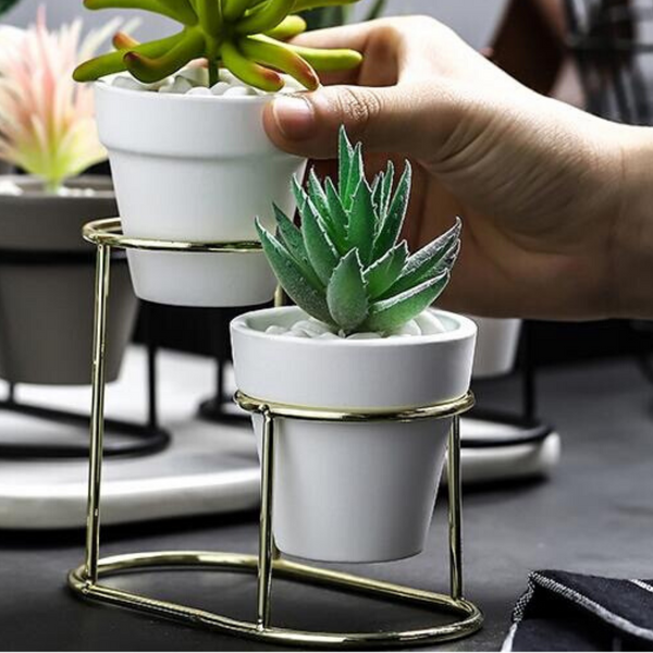 Planters