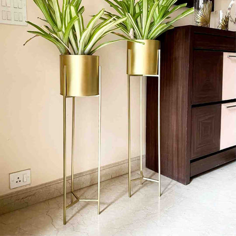 Floor Planters