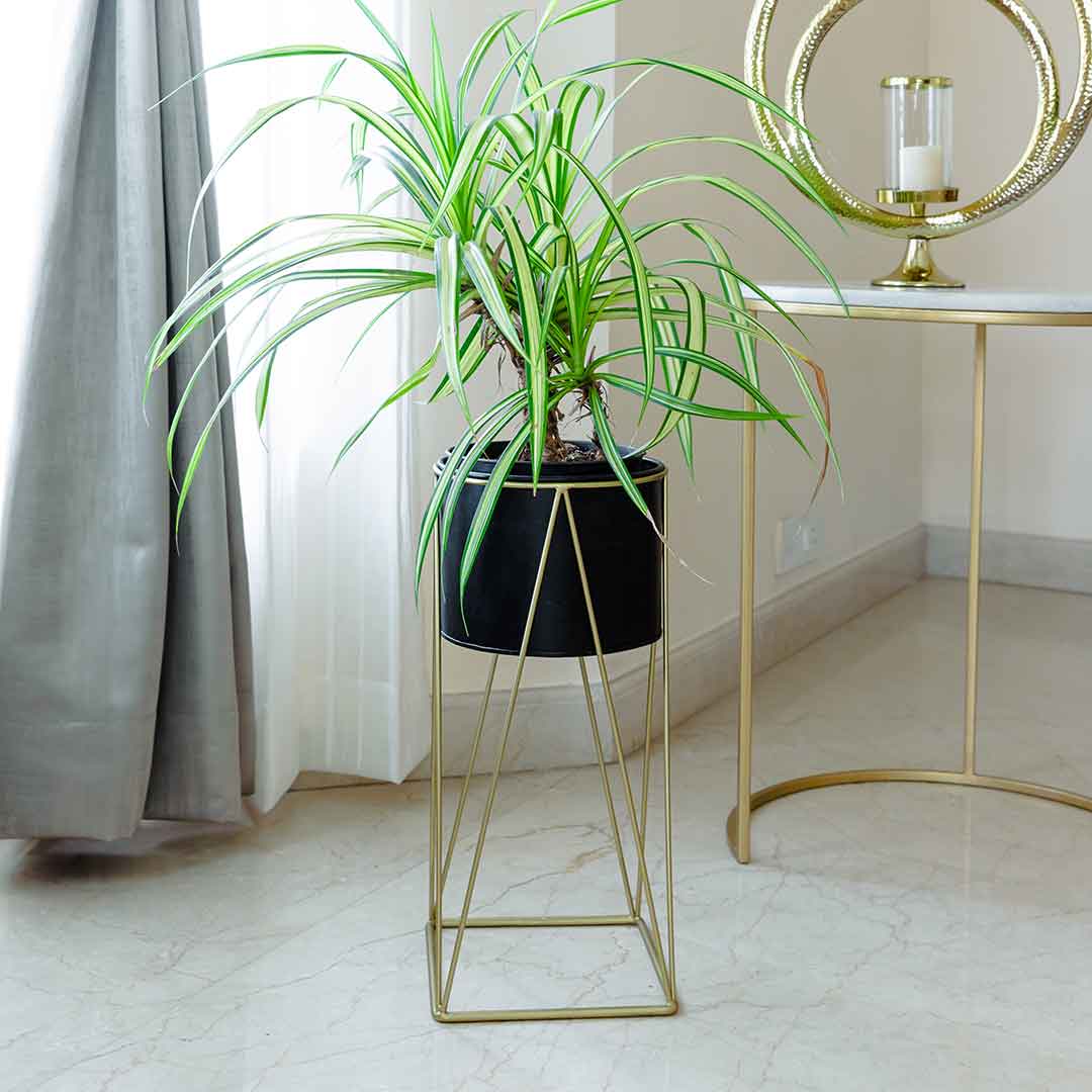 Aaro Planter Set