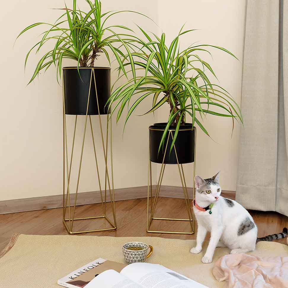 Aaro Planter Set