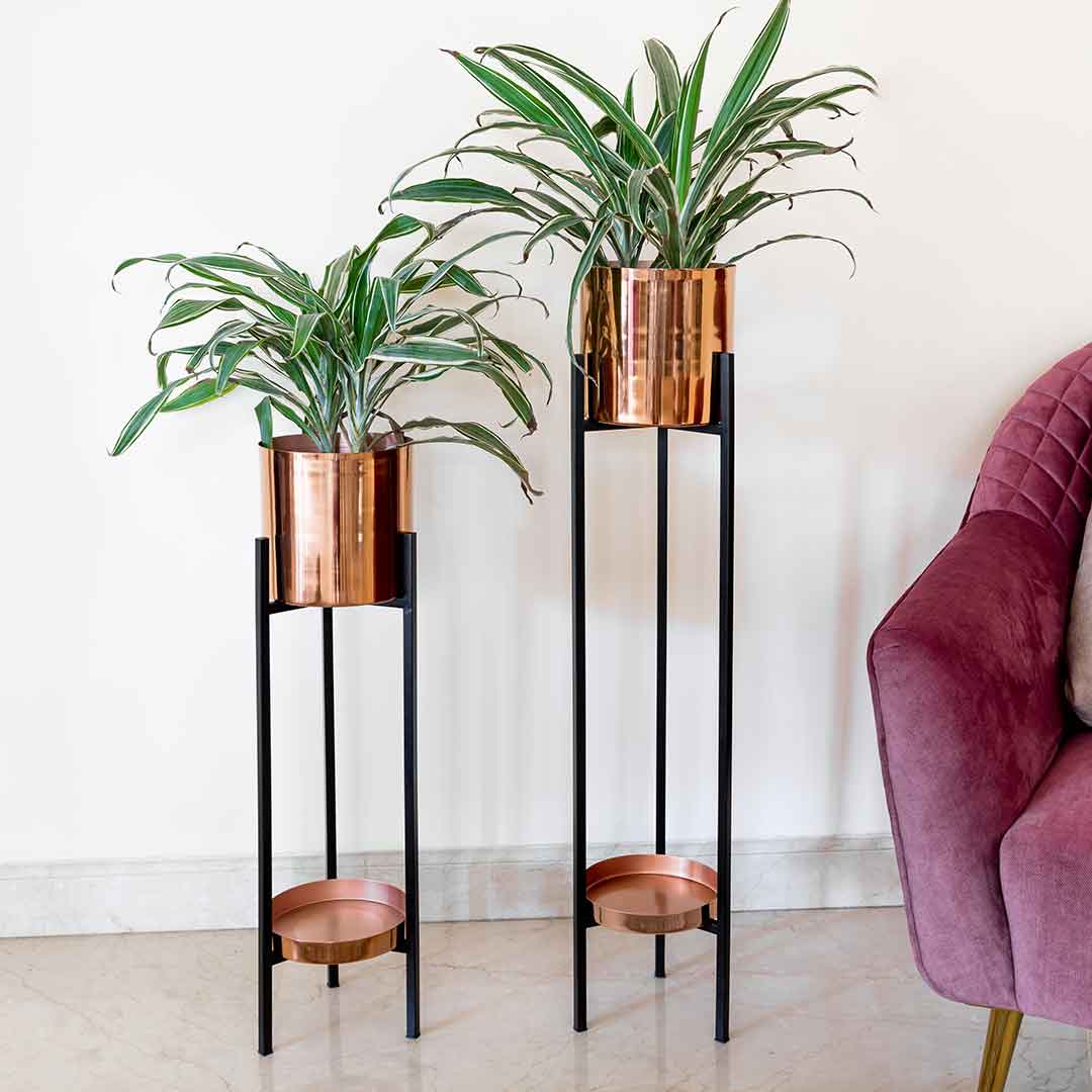 ORO ROSA Planters (Set of 2)