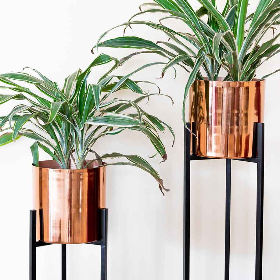 ORO ROSA Planters (Set of 2)