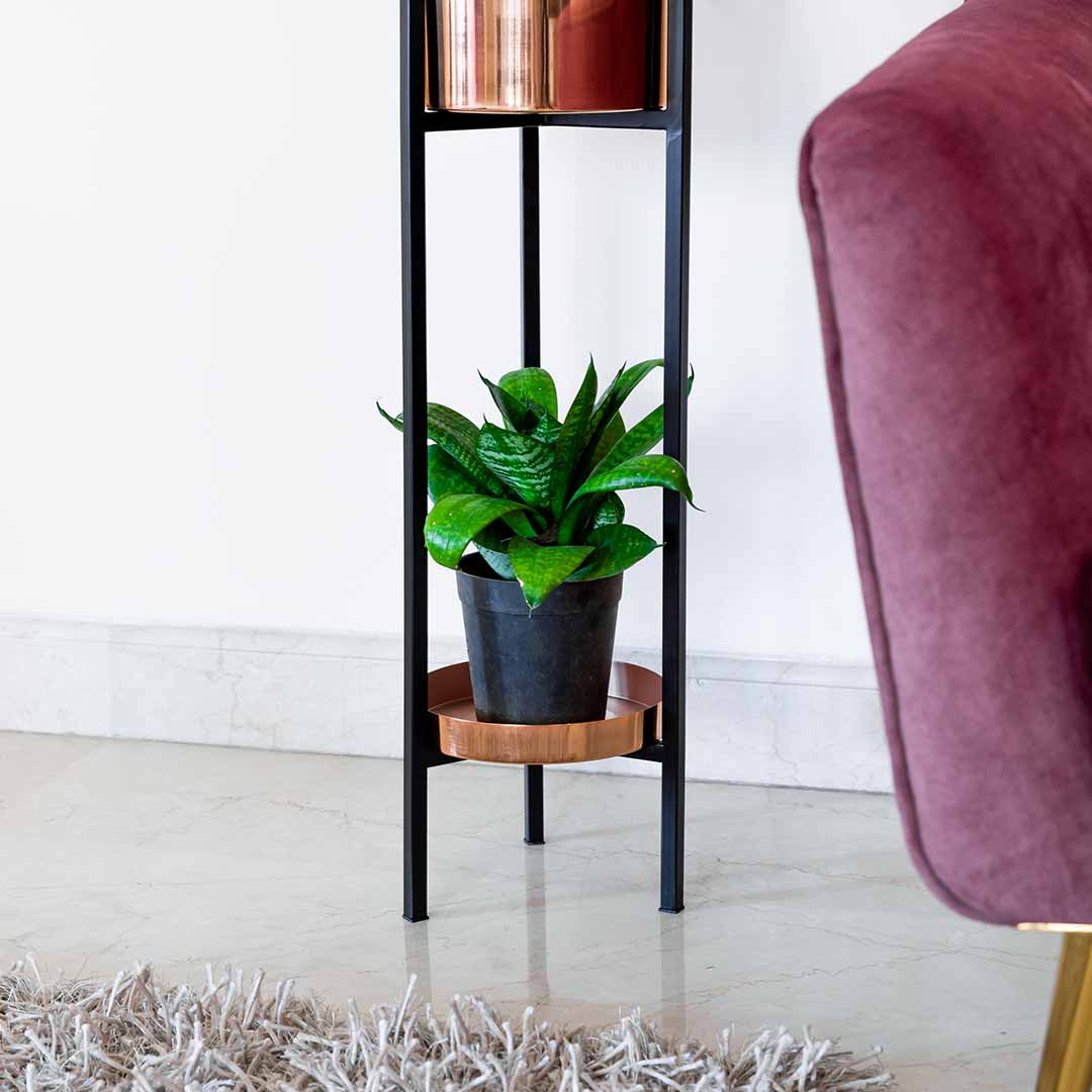 ORO ROSA Planters (Set of 2)