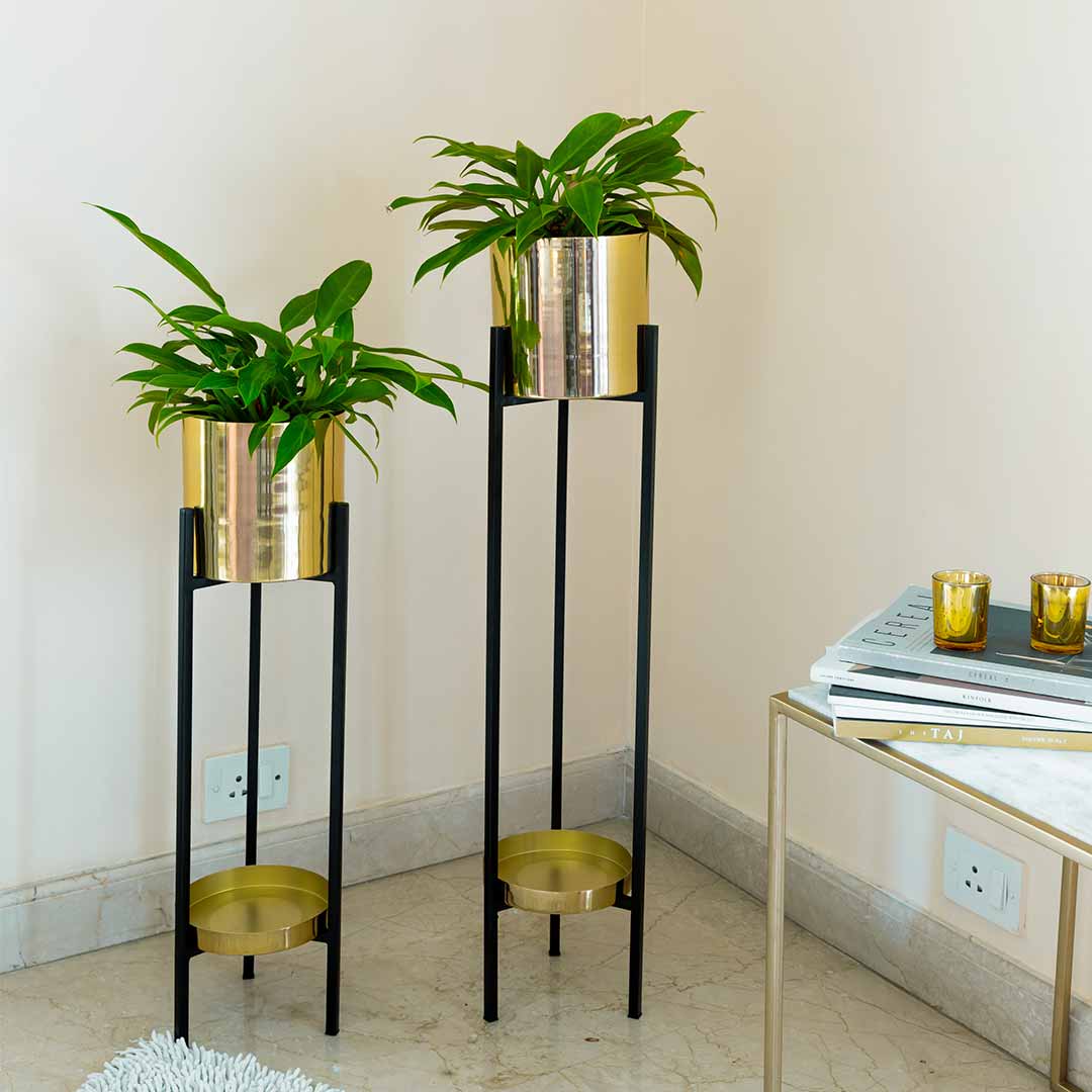ORO GOLD Planters (Set of 2)