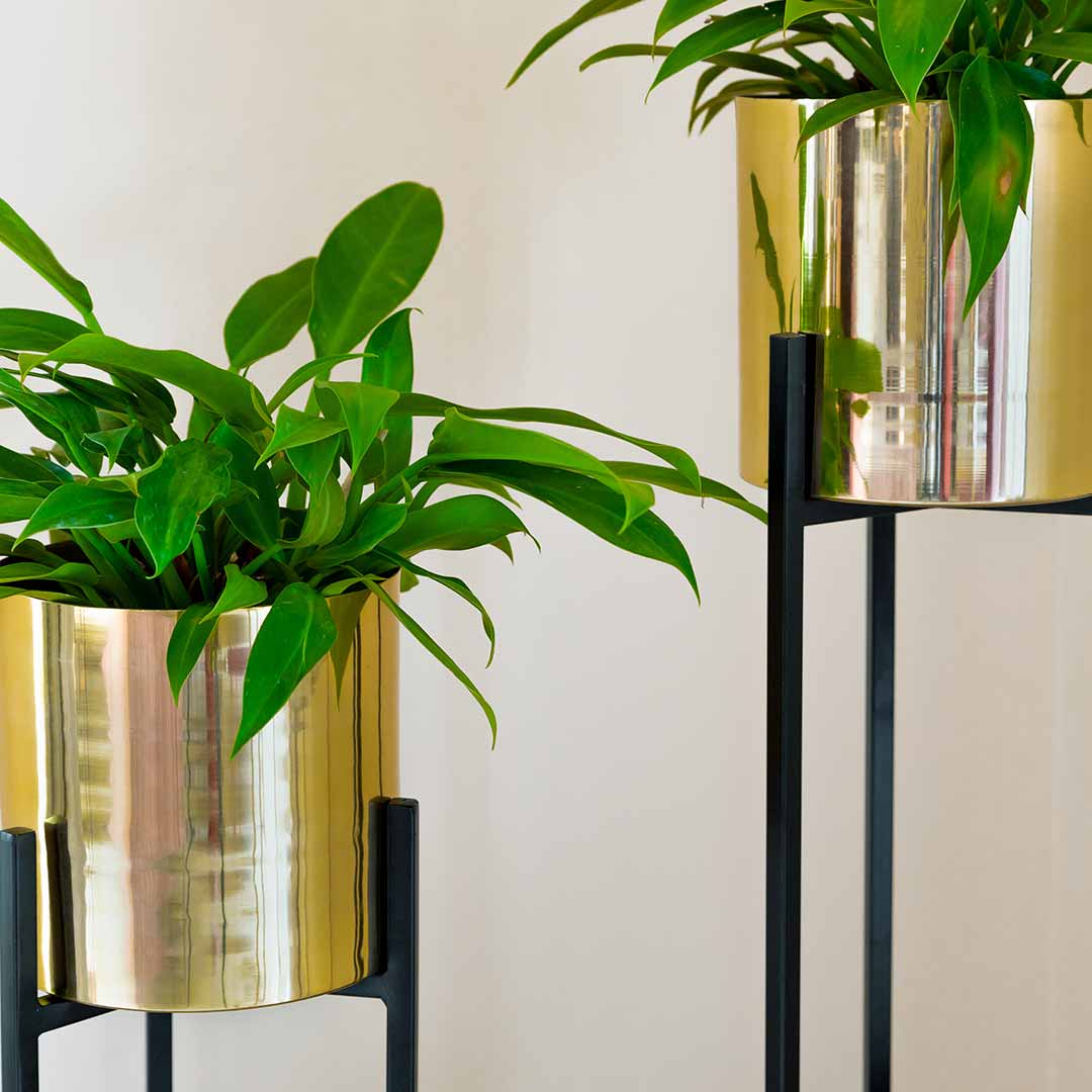 ORO GOLD Planters (Set of 2)