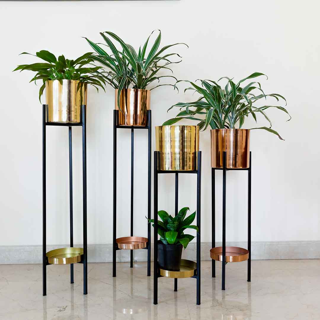 ORO GOLD Planters (Set of 2)