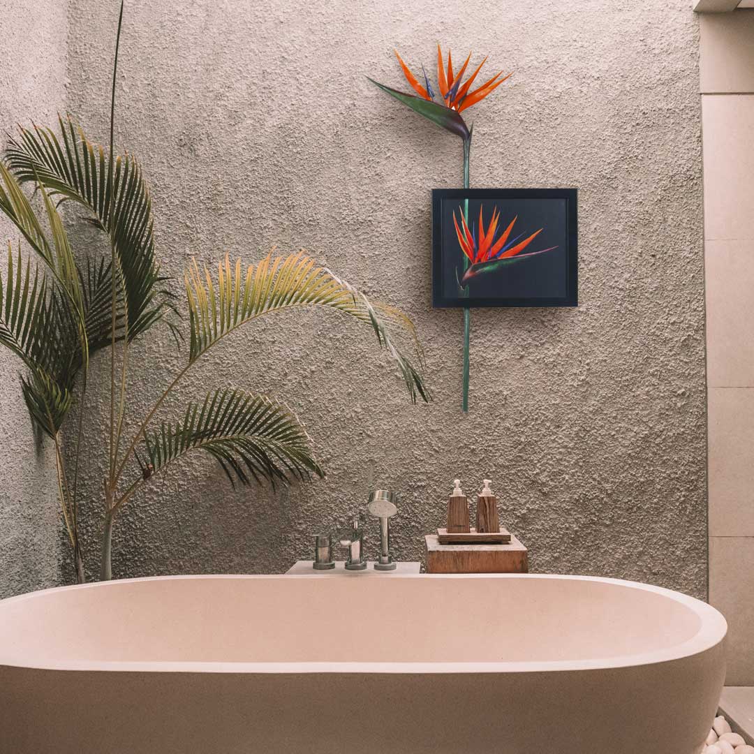 3D Wall Art Bird Of Paradise