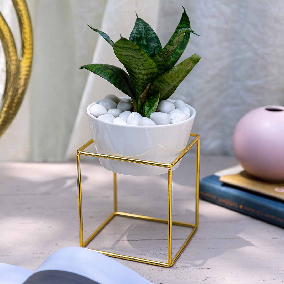 white and gold pot planter White Gold Planter with Stand – ISAAKA
