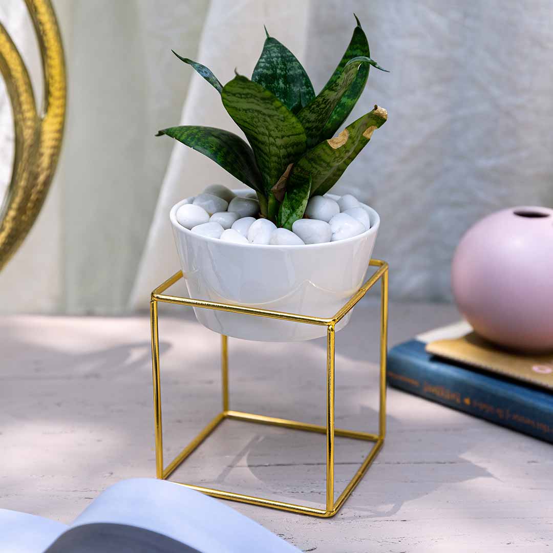 Bundle: Gulnaar Tray, Square Planter, Candle