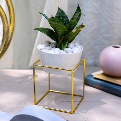 Bundle: Gulnaar Tray, Square Planter, Candle
