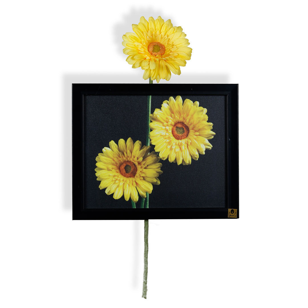 Wall Frame: Gerbera Yellow (Horizontal)