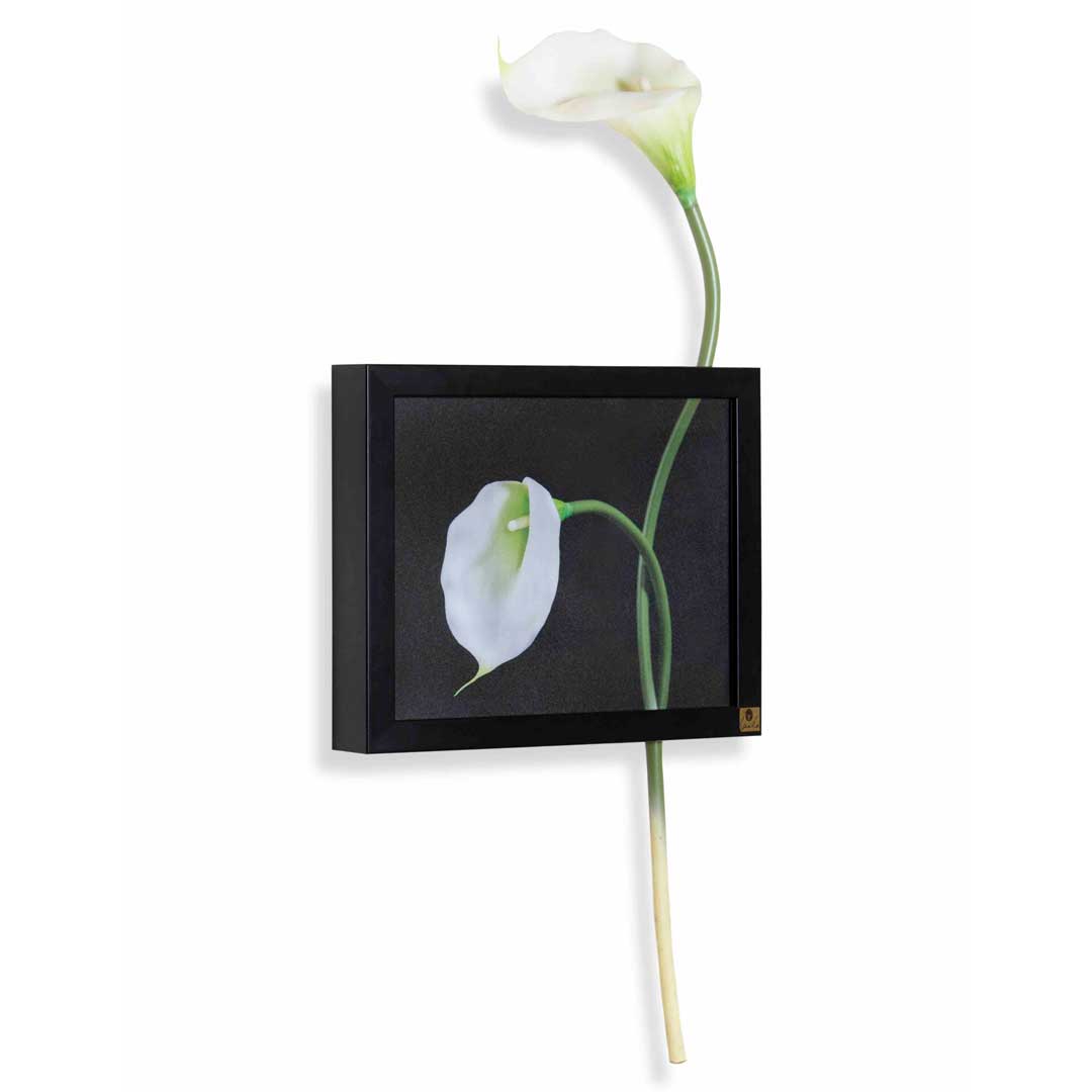 Wall Frame: Cala Lily Horizontal