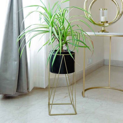 Aaro Planter Set