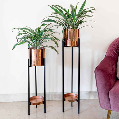 ORO ROSA Planters (Set of 2)