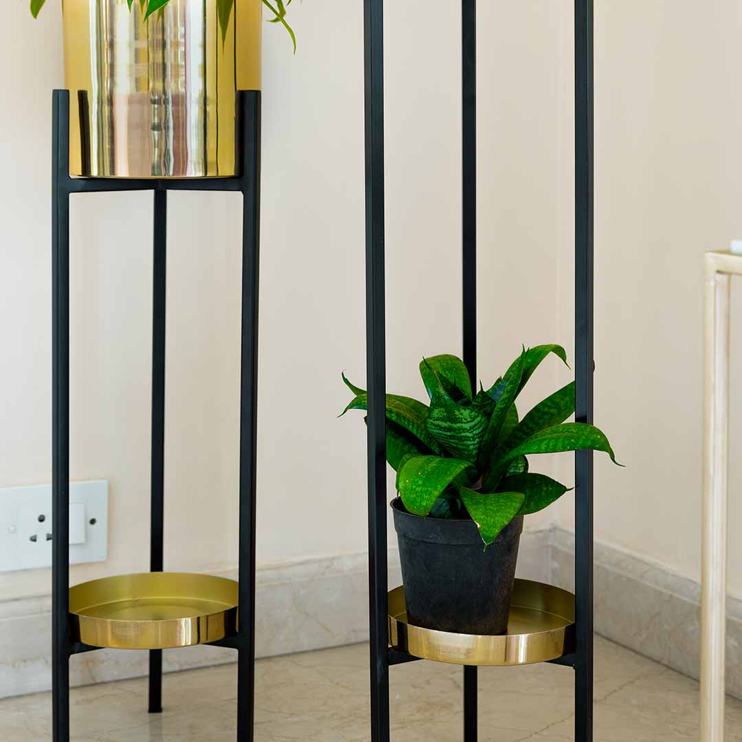 ORO GOLD Planters (Set of 2)