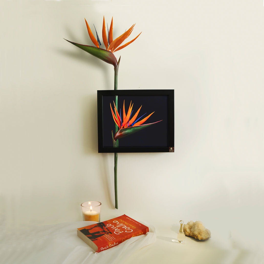 3D Wall Art Bird Of Paradise